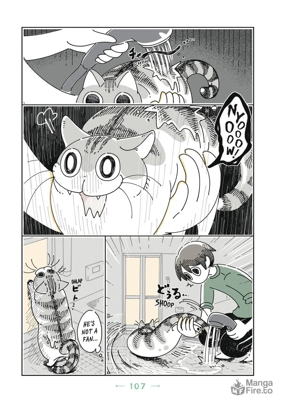 Nights With a Cat Chapter 6 page 6 - 