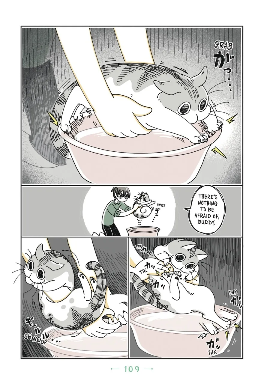 Nights With a Cat Chapter 6 page 8 - 