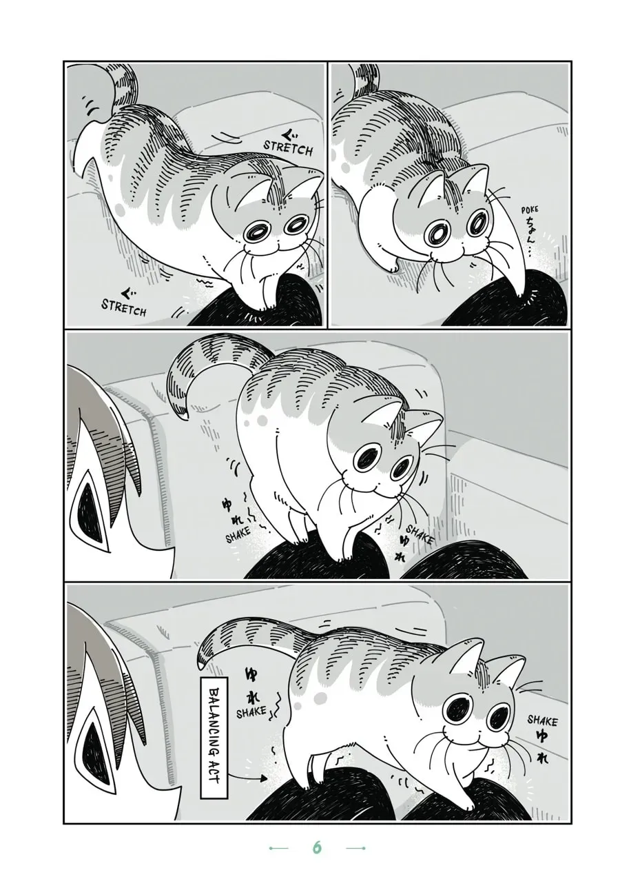 Nights With a Cat Chapter 60 page 7 - 
