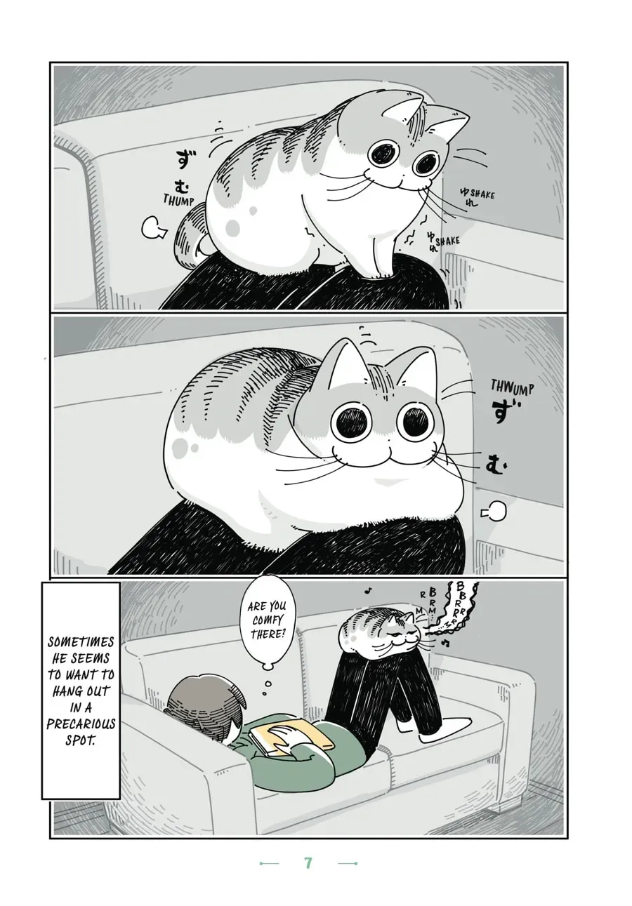 Nights With a Cat Chapter 60 page 8 - 