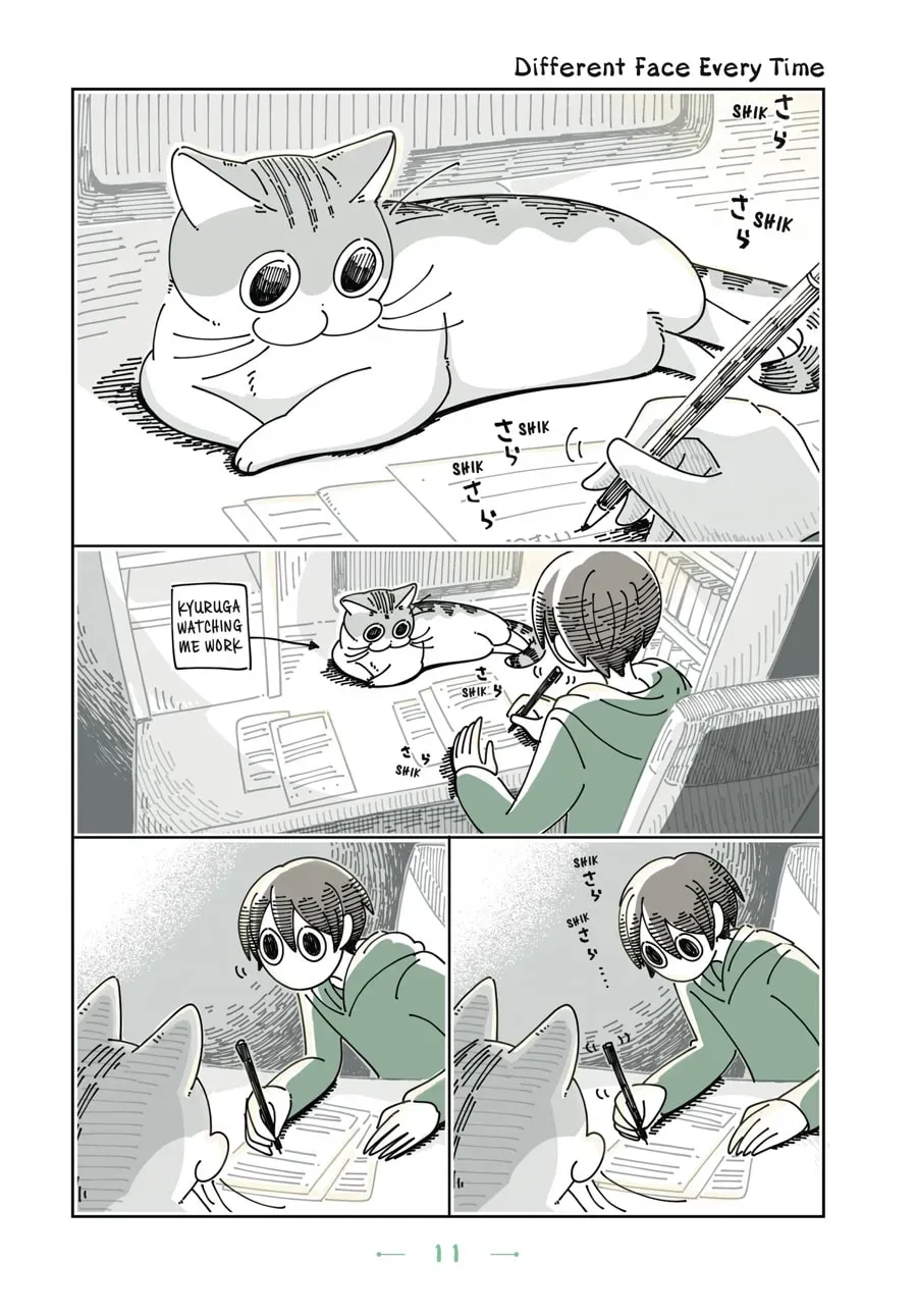 Nights With a Cat Chapter 62 page 1 - 