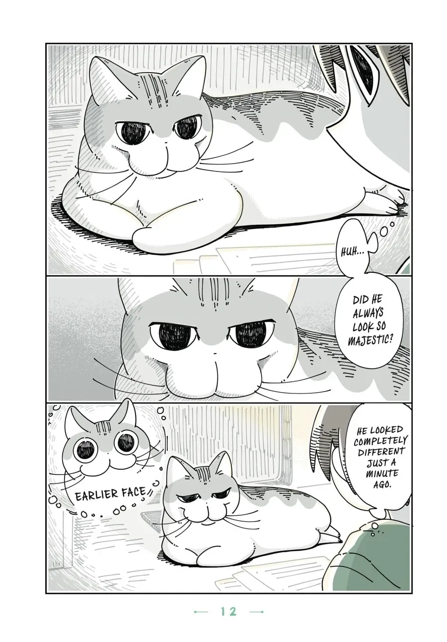 Nights With a Cat Chapter 62 page 2 - 