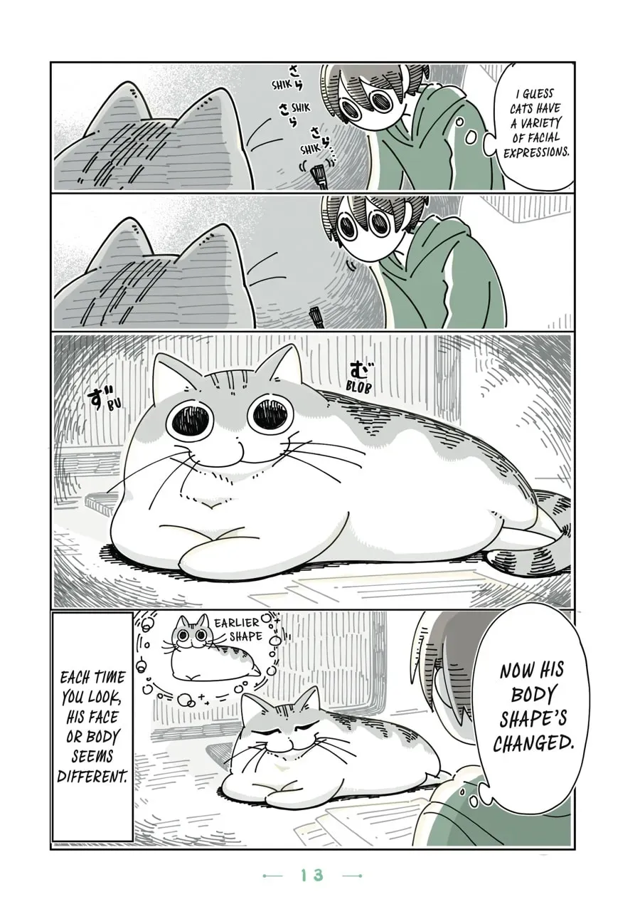 Nights With a Cat Chapter 62 page 3 - 