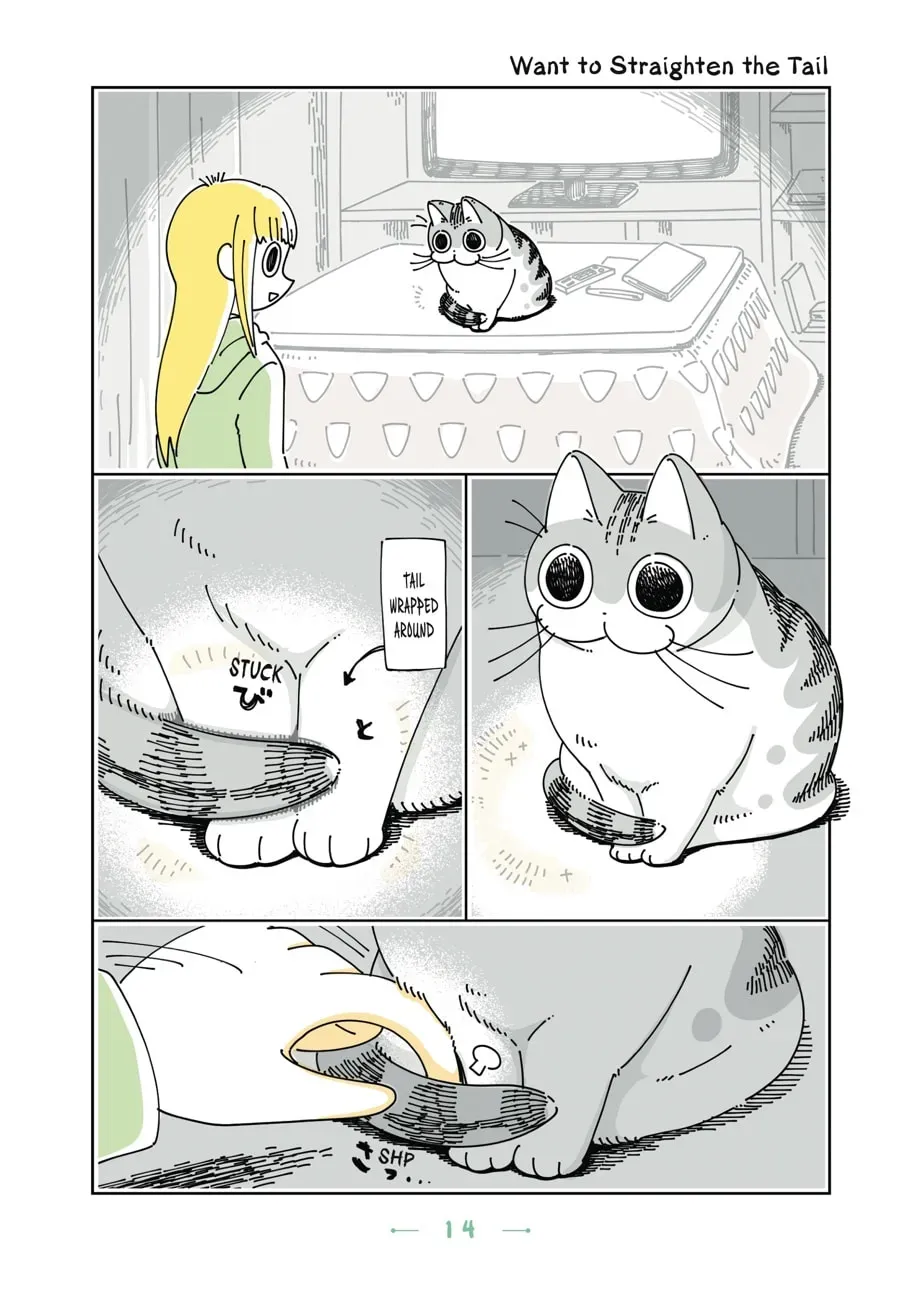 Nights With a Cat Chapter 63 page 1 - 