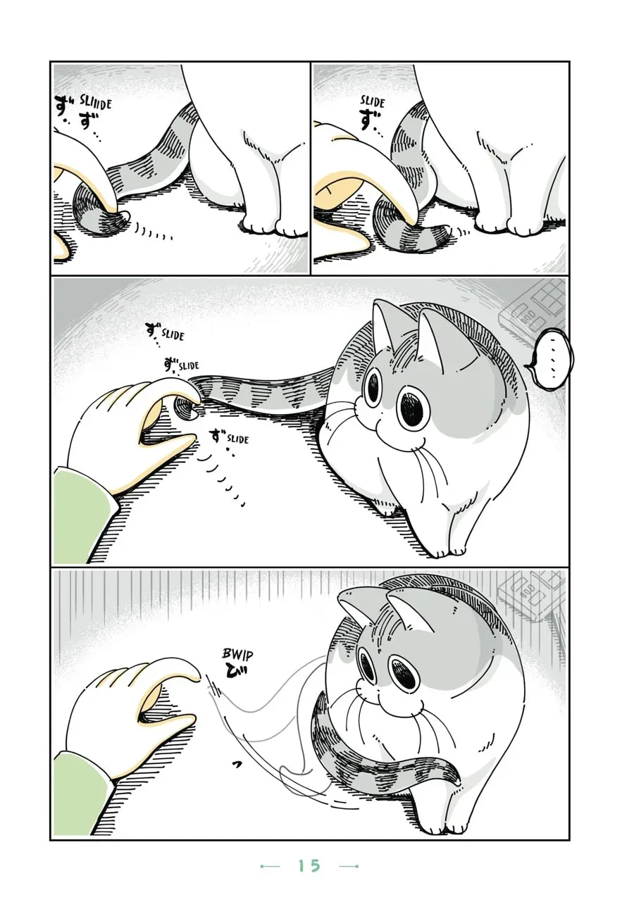 Nights With a Cat Chapter 63 page 2 - 