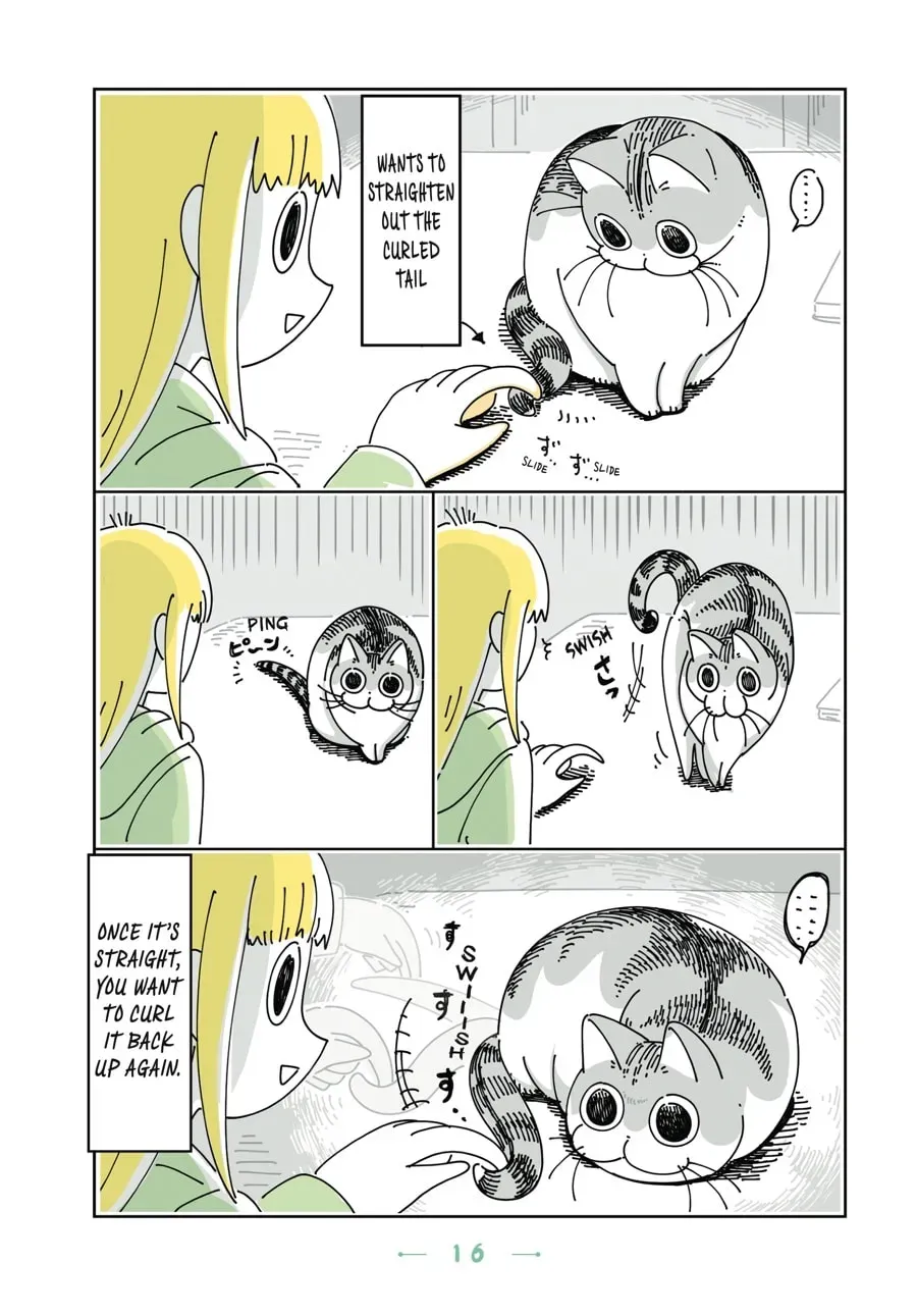 Nights With a Cat Chapter 63 page 3 - 