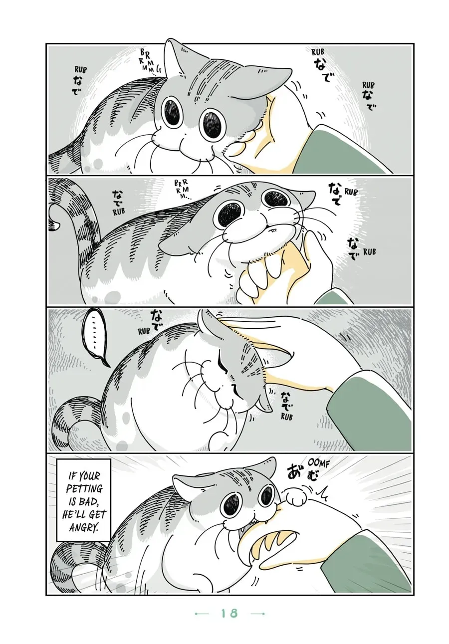 Nights With a Cat Chapter 64 page 2 - 