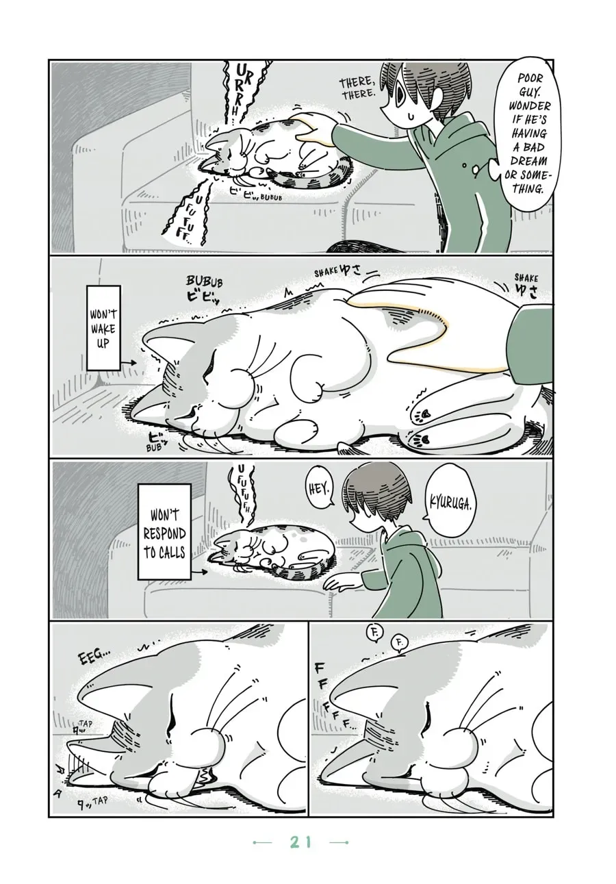 Nights With a Cat Chapter 65 page 2 - 