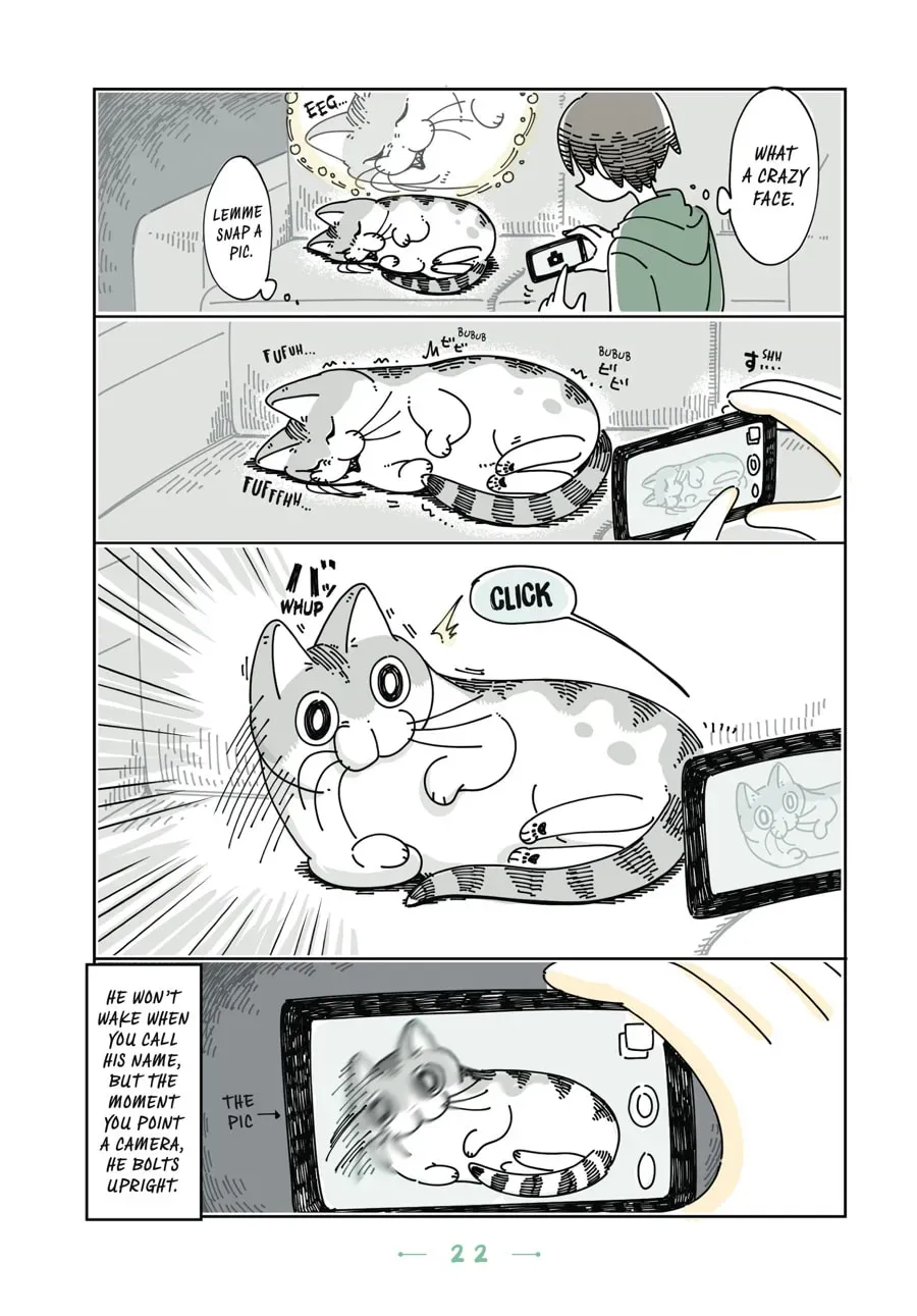 Nights With a Cat Chapter 65 page 3 - 