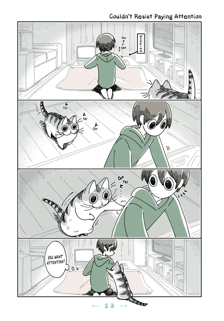 Nights With a Cat Chapter 66 page 1 - 