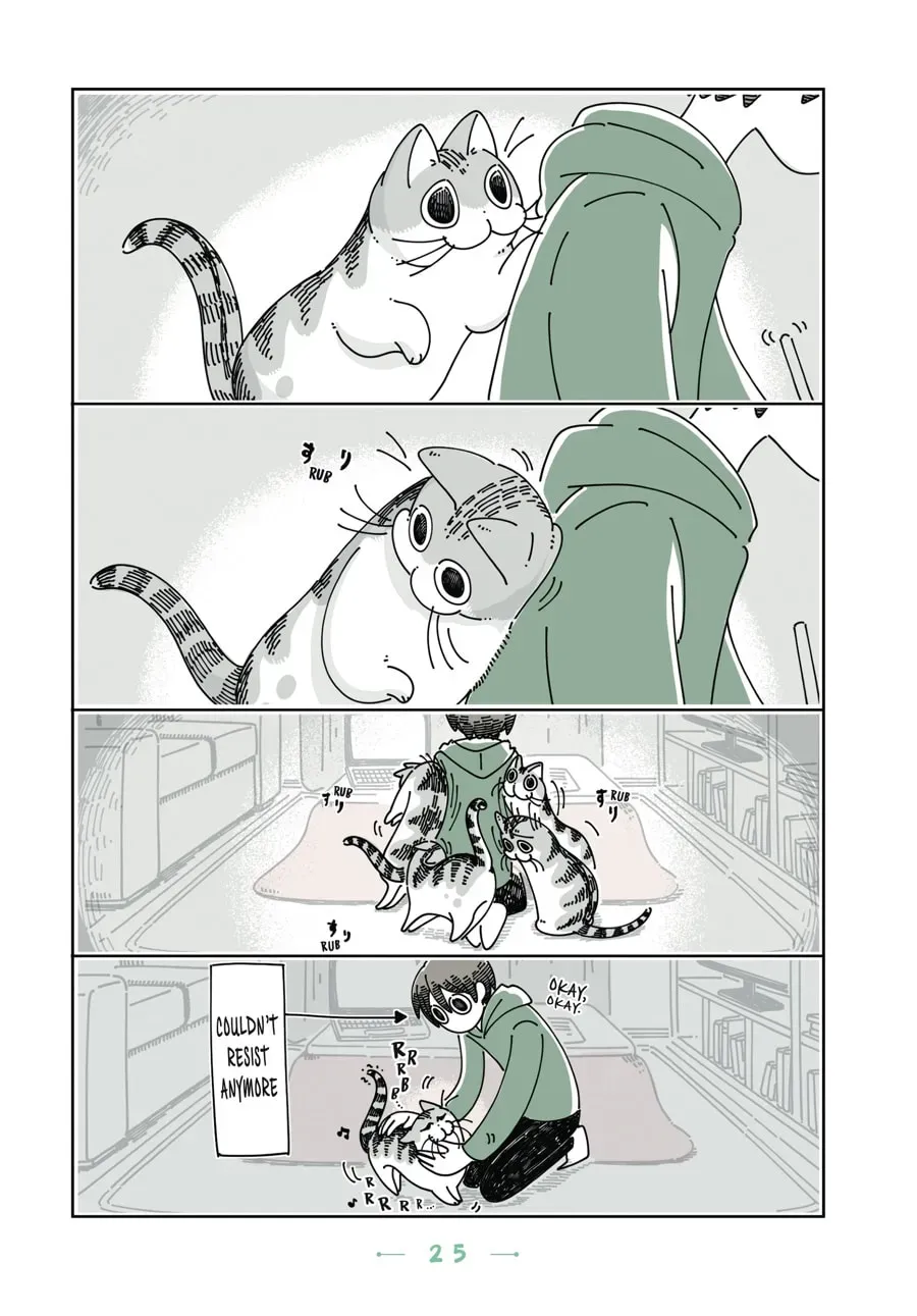 Nights With a Cat Chapter 66 page 3 - 