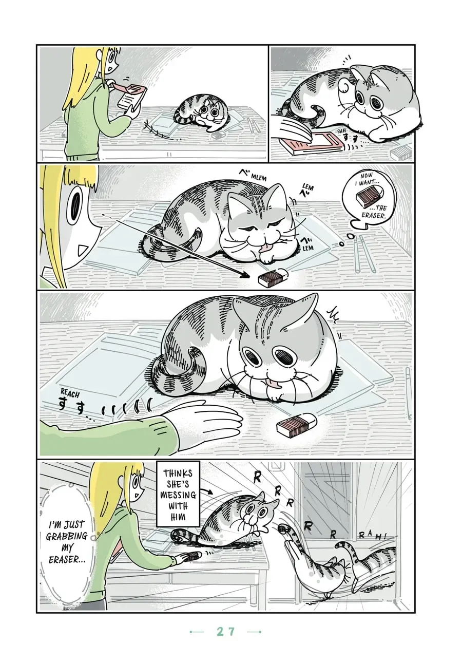 Nights With a Cat Chapter 67 page 2 - 