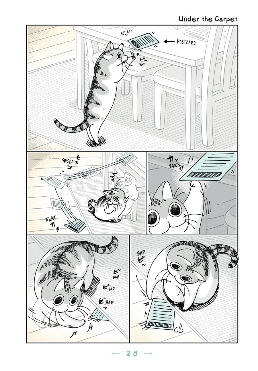Nights With a Cat Chapter 68 page 1 - 