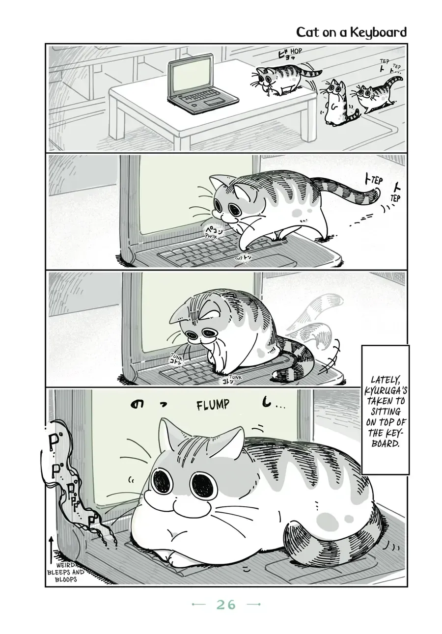 Nights With a Cat Chapter 7.1 page 1 - 