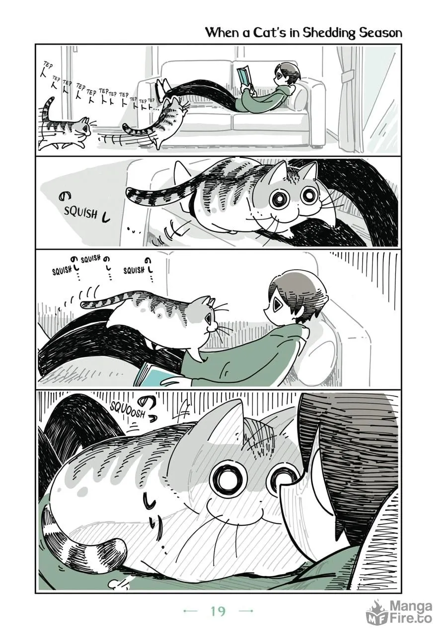 Nights With a Cat Chapter 7 page 15 - 