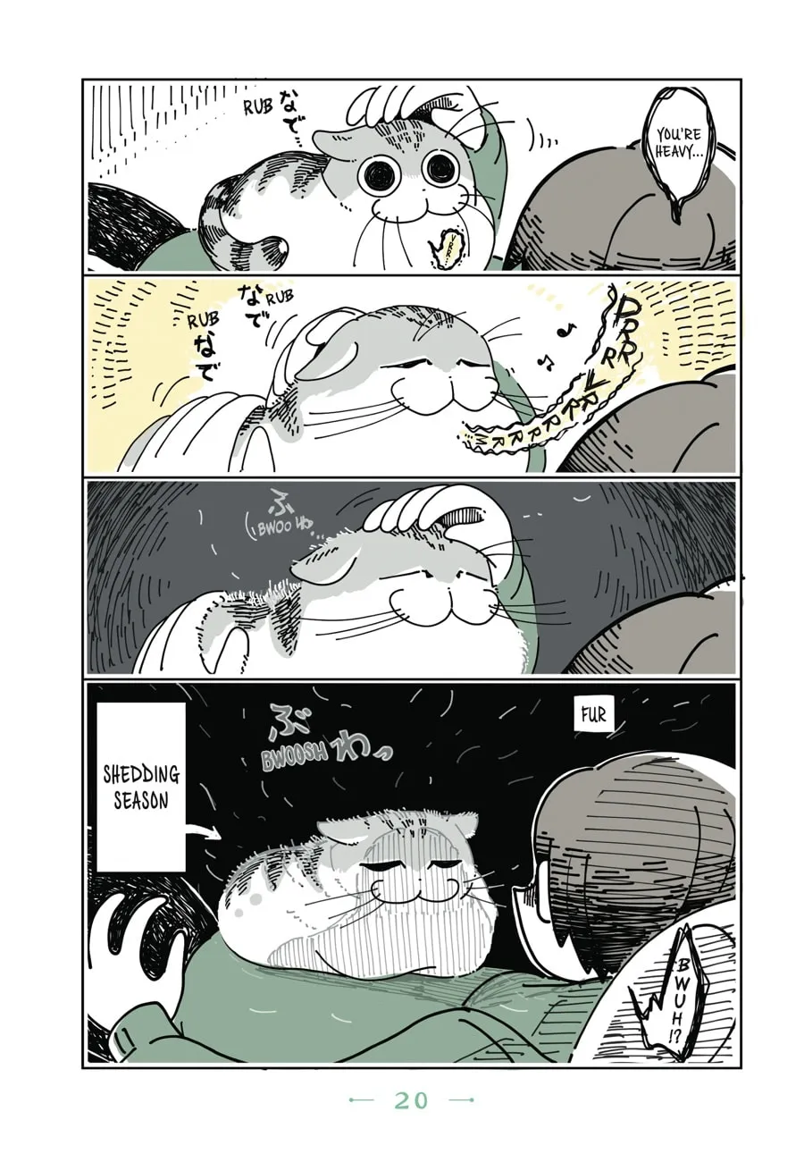 Nights With a Cat Chapter 7 page 16 - 