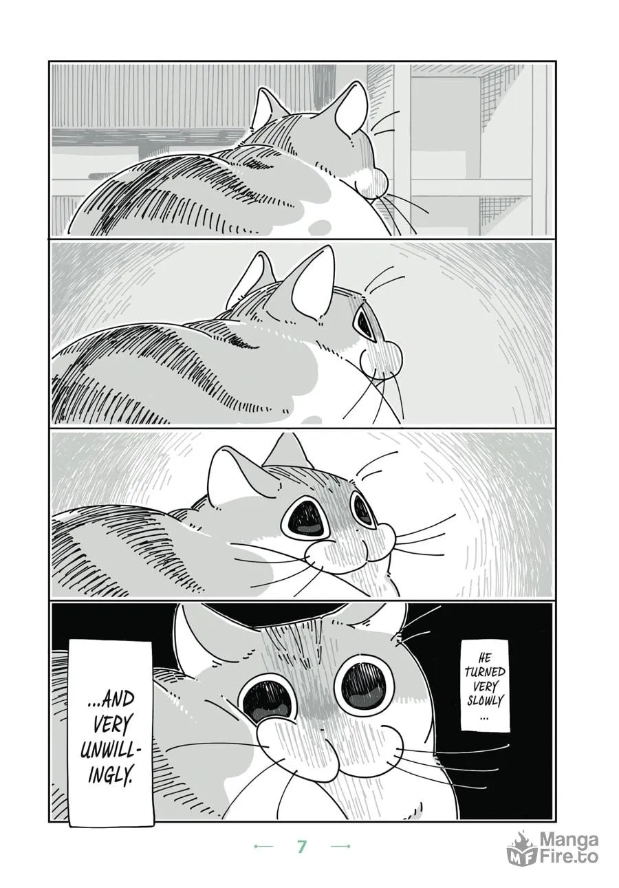 Nights With a Cat Chapter 7 page 3 - 