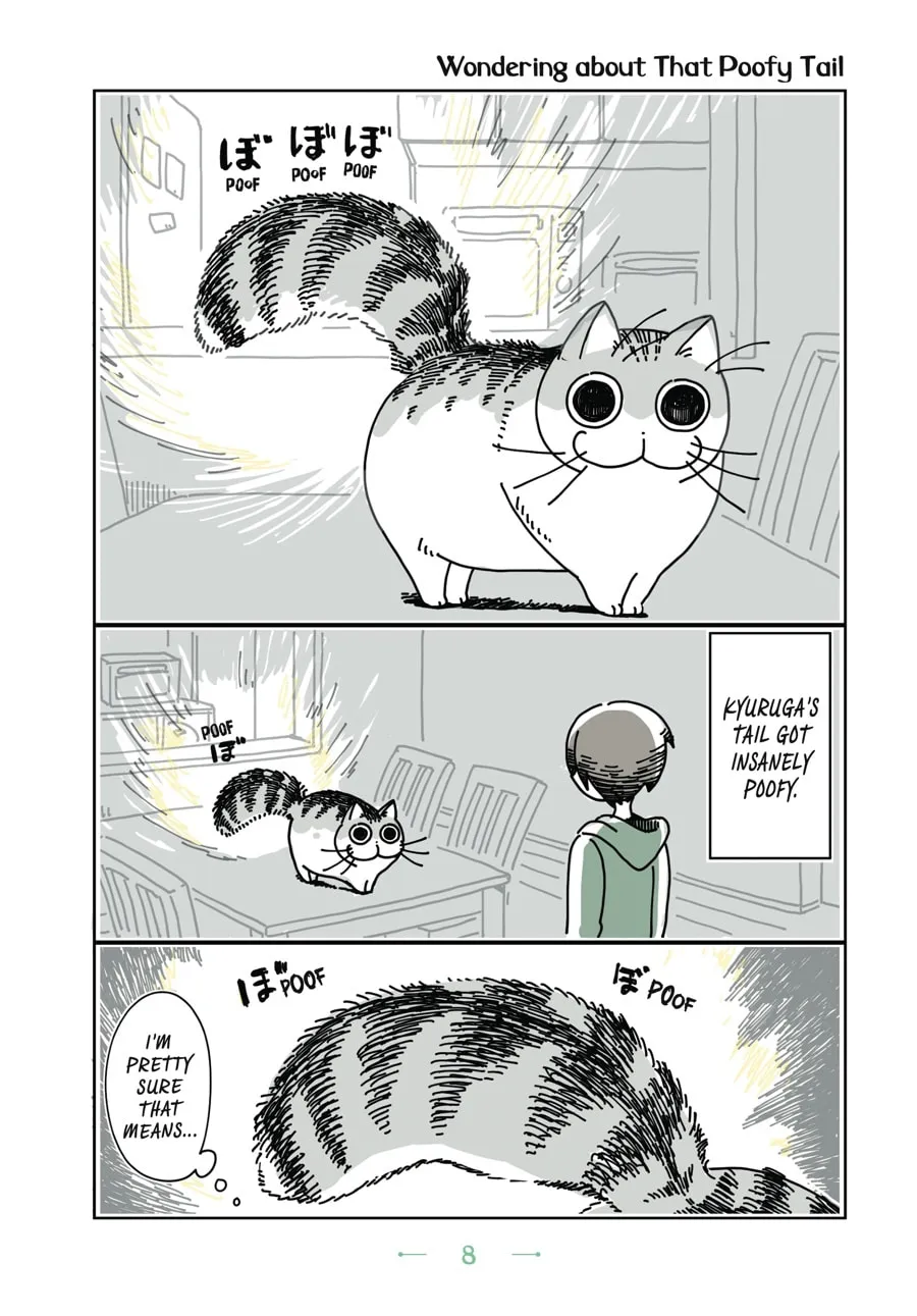 Nights With a Cat Chapter 7 page 4 - 