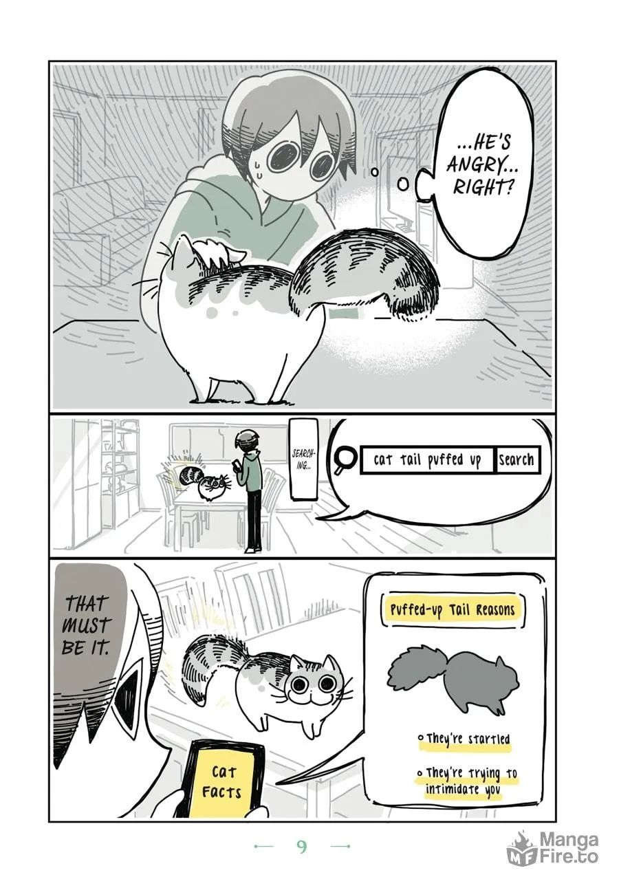 Nights With a Cat Chapter 7 page 5 - 