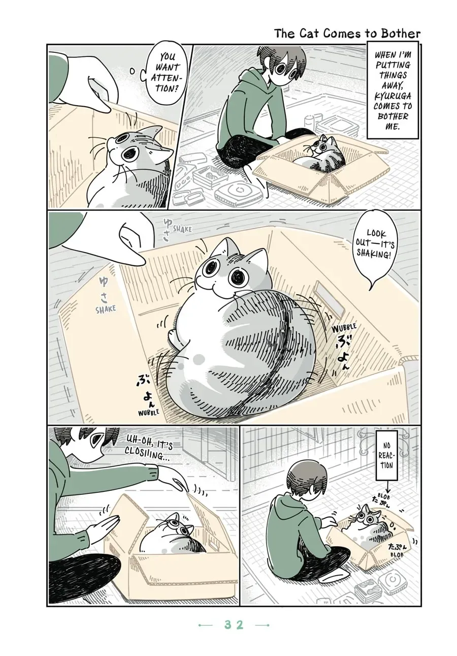 Nights With a Cat Chapter 70 page 1 - 