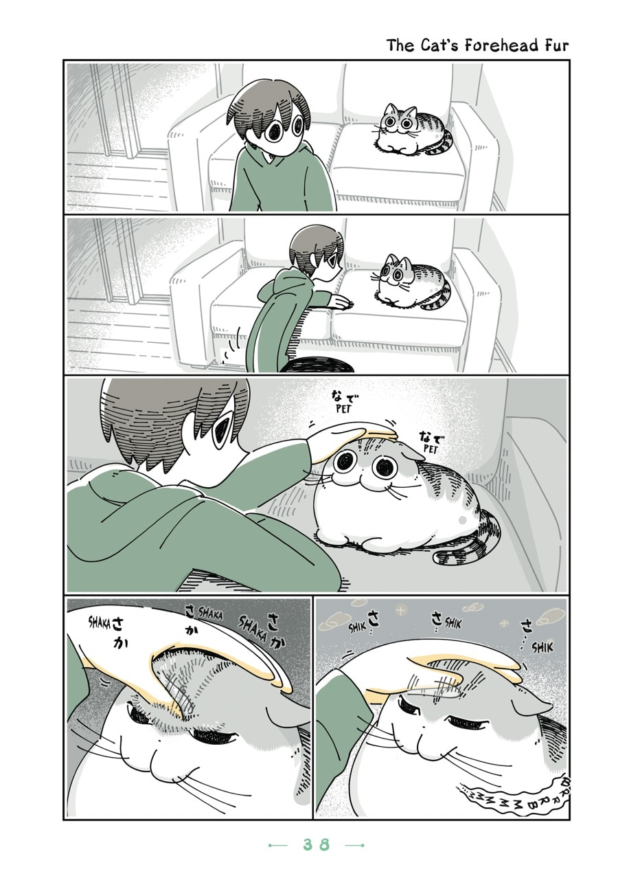 Nights With a Cat Chapter 73 page 1 - 