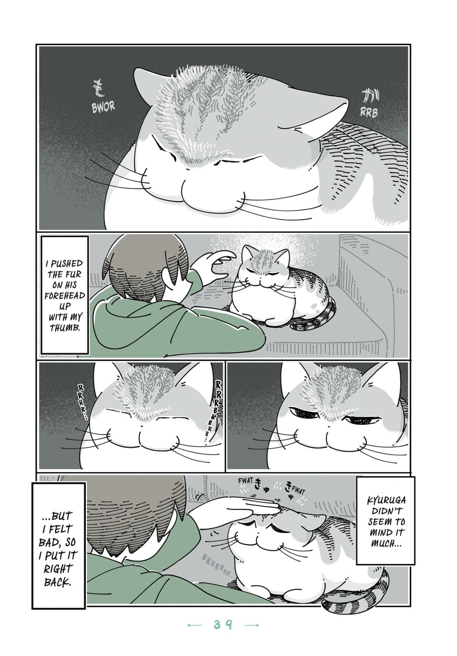 Nights With a Cat Chapter 73 page 2 - 