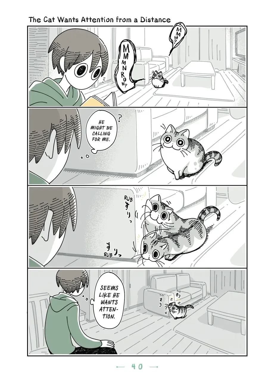 Nights With a Cat Chapter 74 page 1 - 