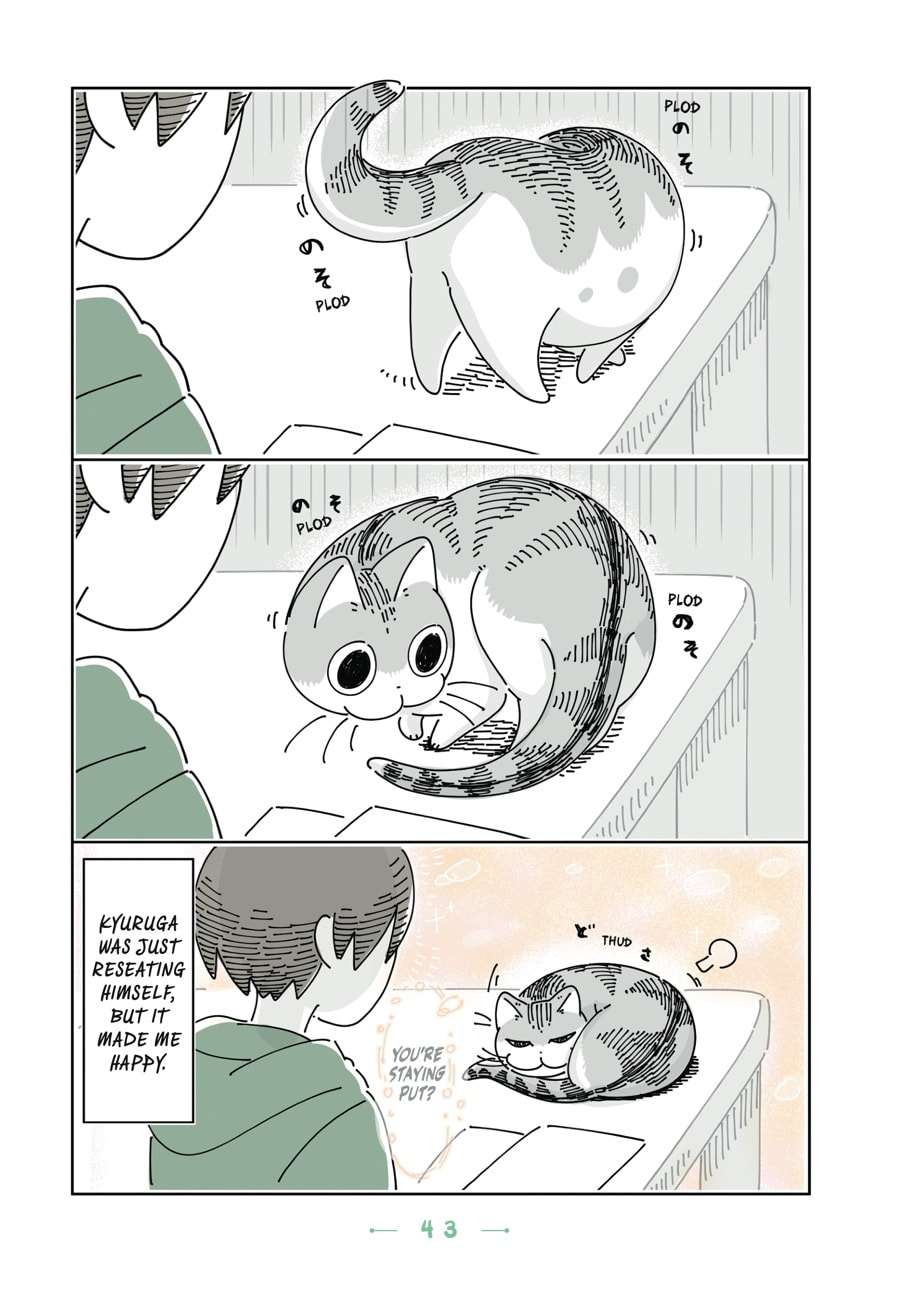 Nights With a Cat Chapter 75 page 2 - 