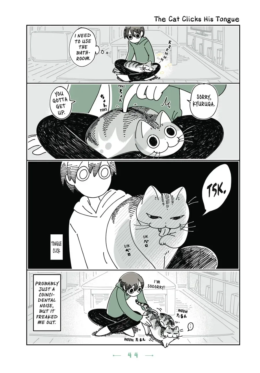 Nights With a Cat Chapter 76 page 1 - 