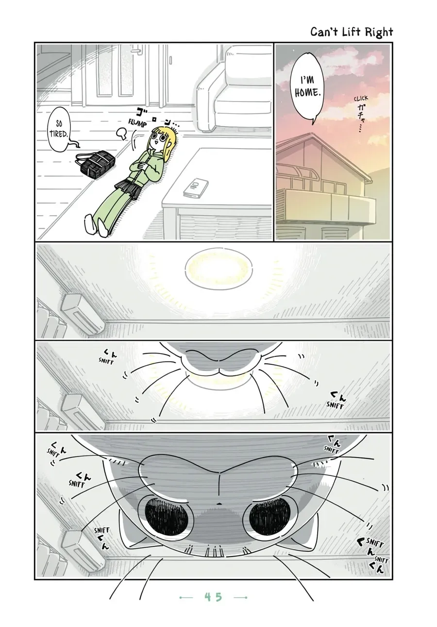 Nights With a Cat Chapter 77 page 1 - 