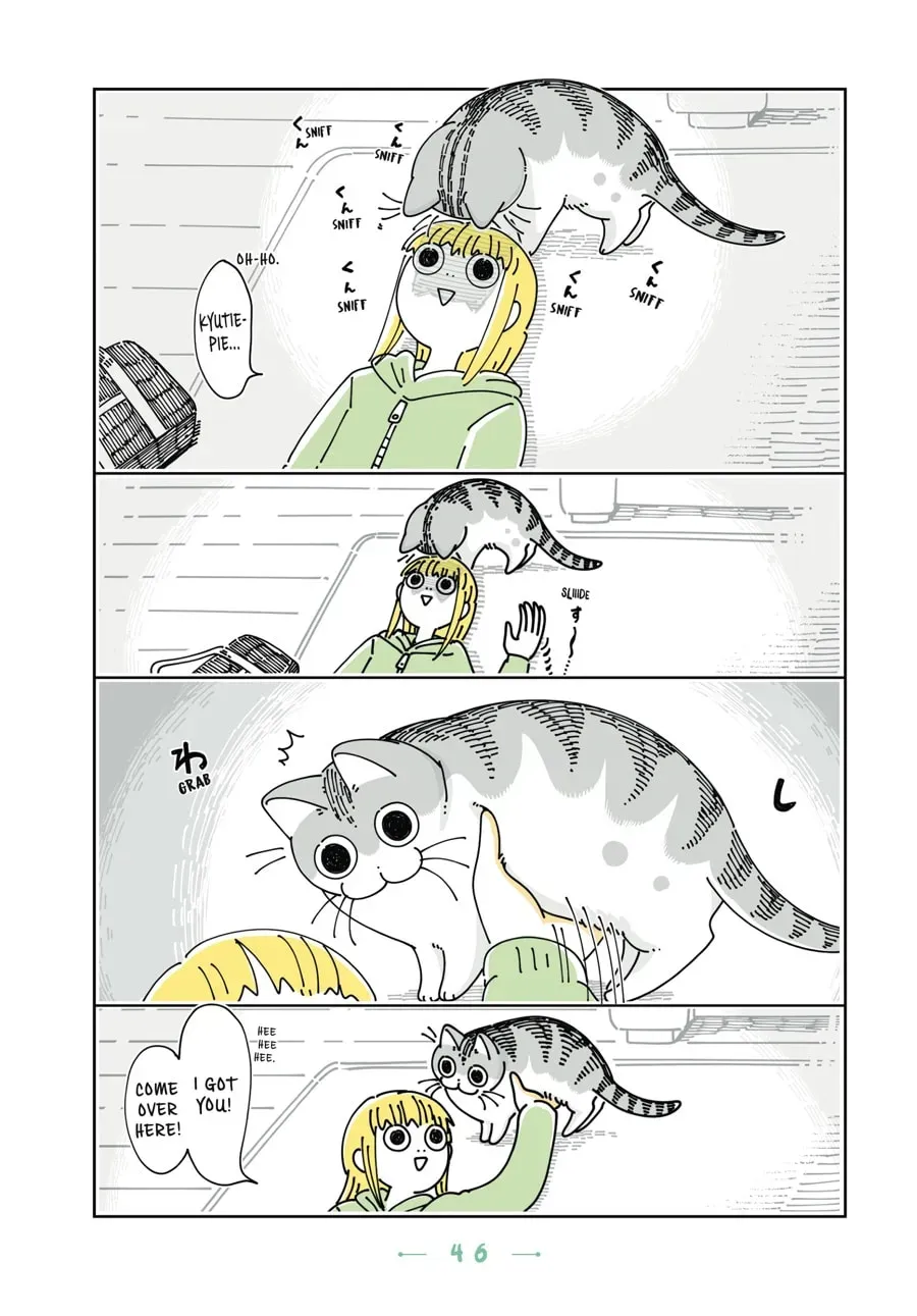 Nights With a Cat Chapter 77 page 2 - 