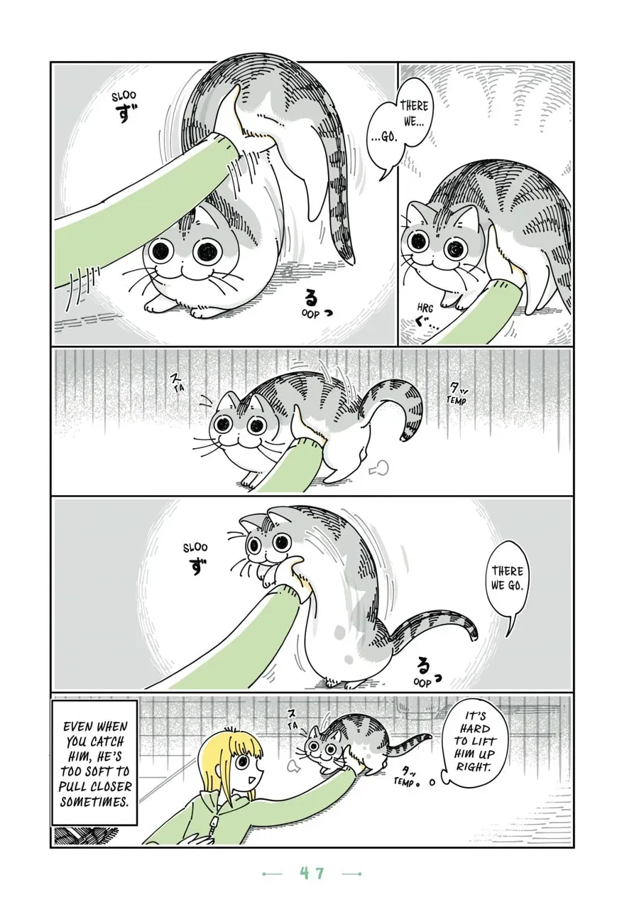 Nights With a Cat Chapter 77 page 3 - 