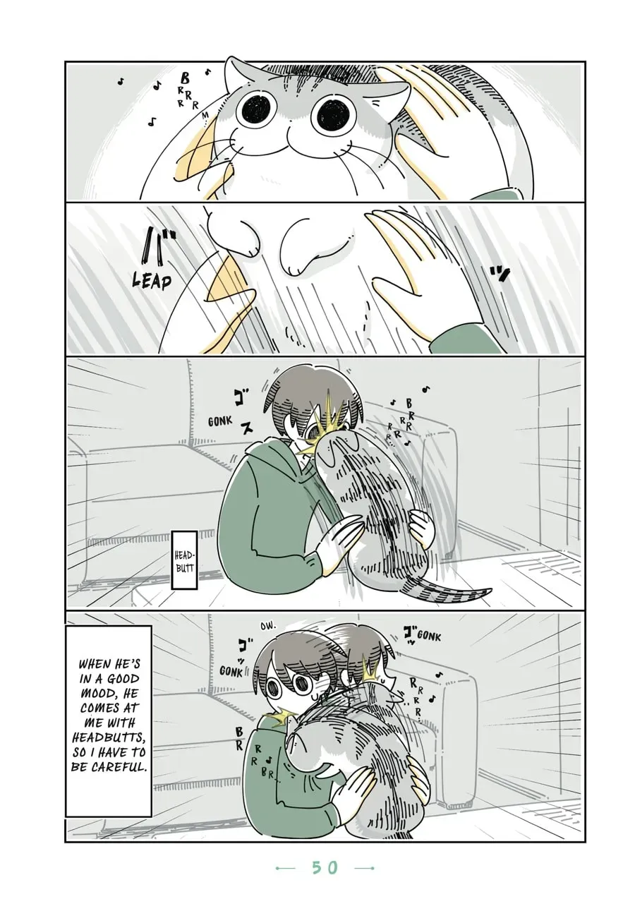 Nights With a Cat Chapter 78 page 3 - 