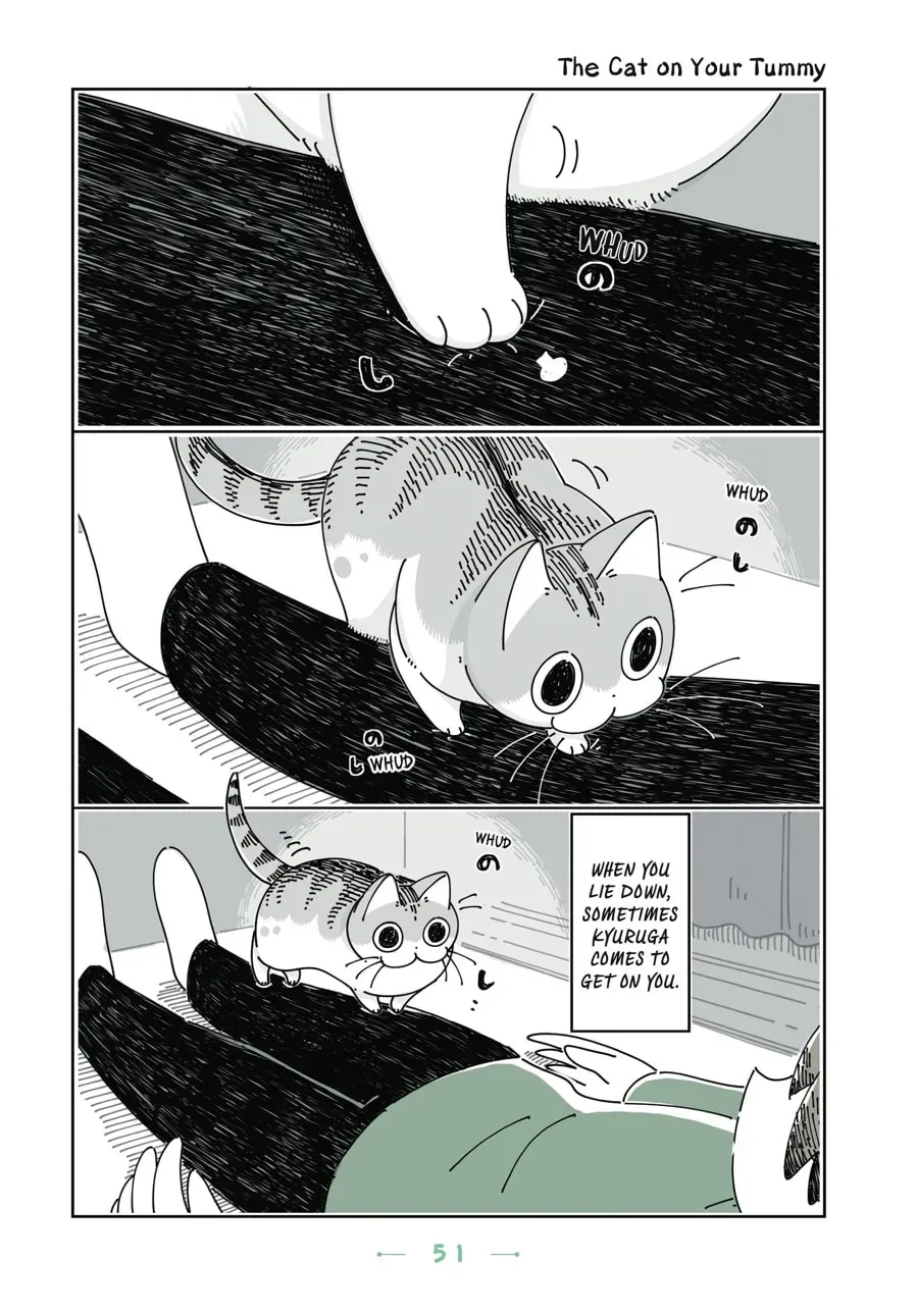 Nights With a Cat Chapter 79 page 1 - 