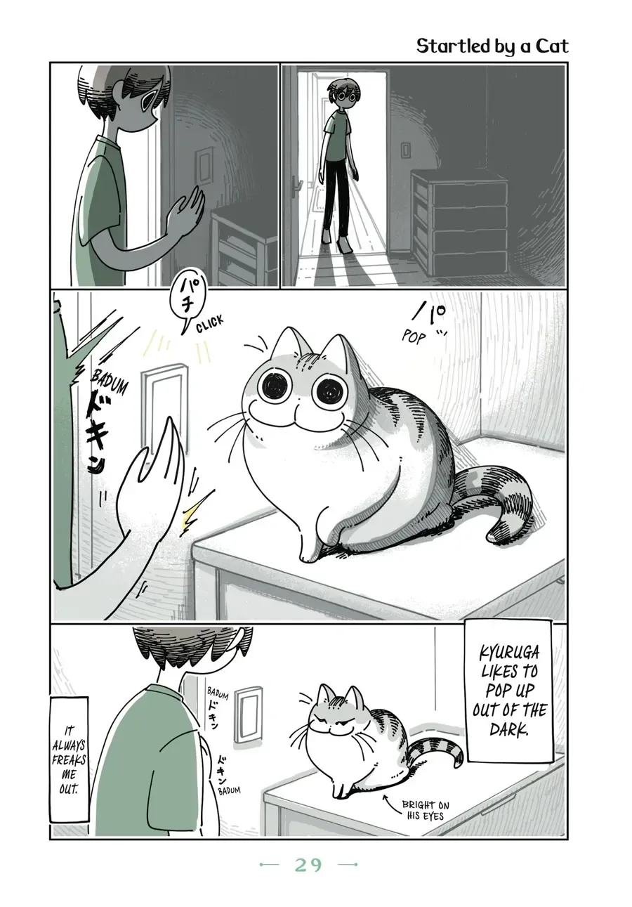 Nights With a Cat Chapter 8.1 page 1 - 