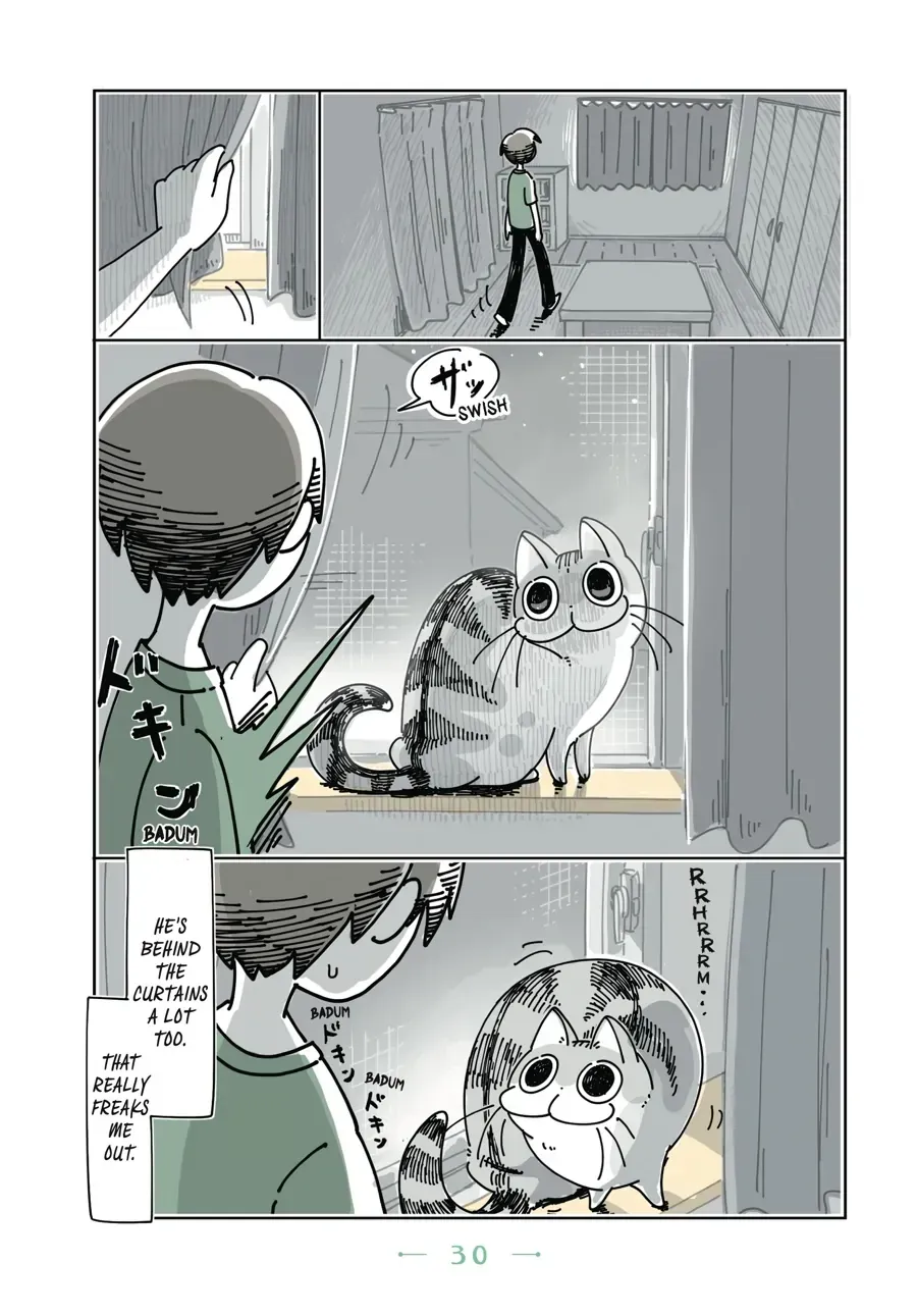 Nights With a Cat Chapter 8.1 page 2 - 