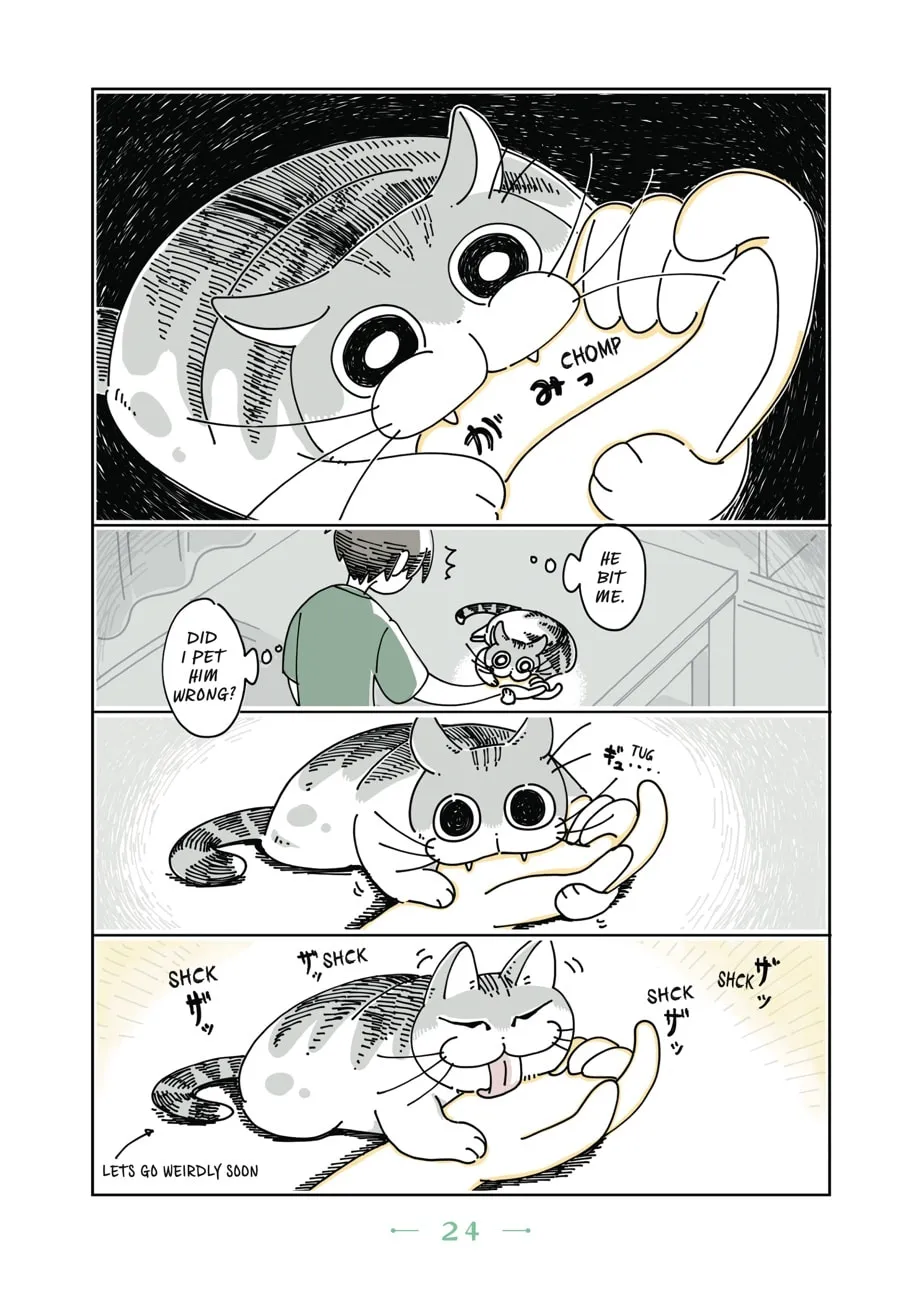 Nights With a Cat Chapter 8 page 2 - 