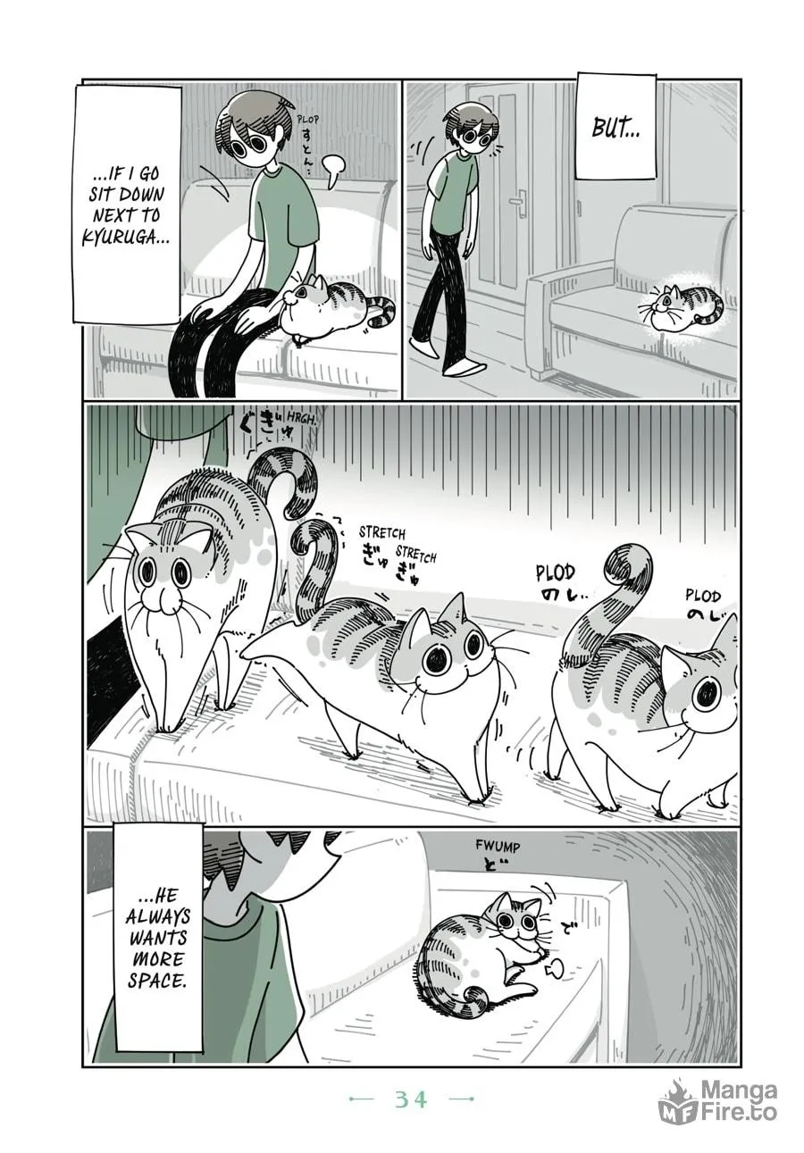 Nights With a Cat Chapter 8 page 12 - 