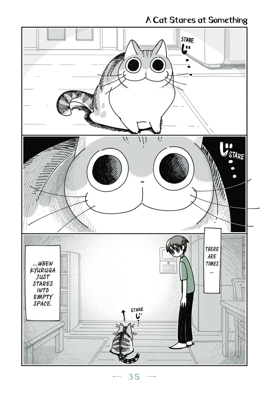 Nights With a Cat Chapter 8 page 13 - 