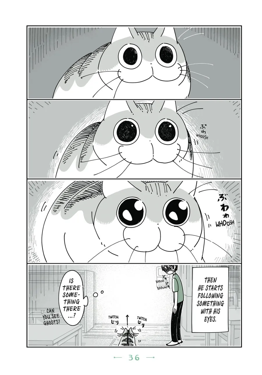 Nights With a Cat Chapter 8 page 14 - 