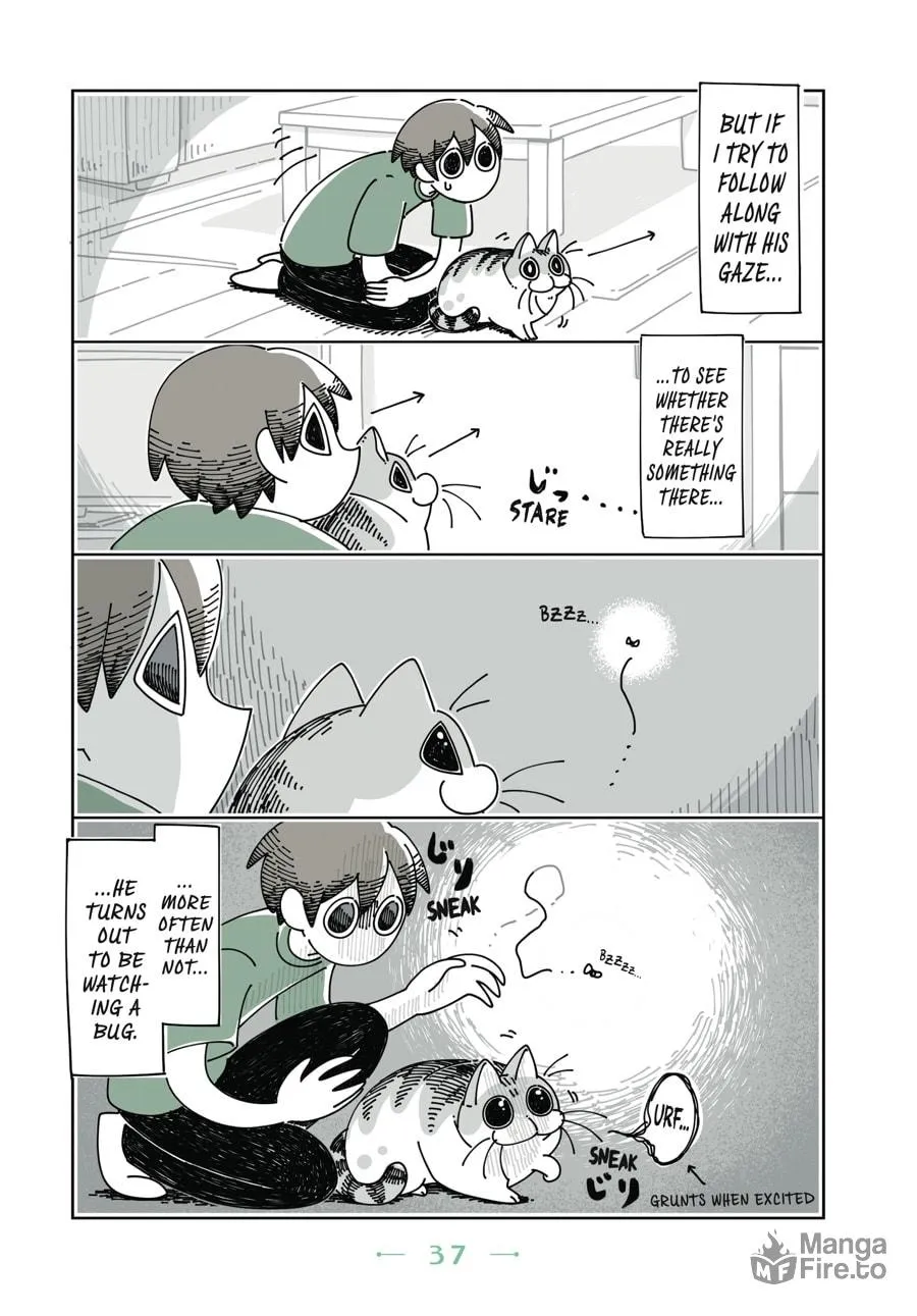Nights With a Cat Chapter 8 page 15 - 