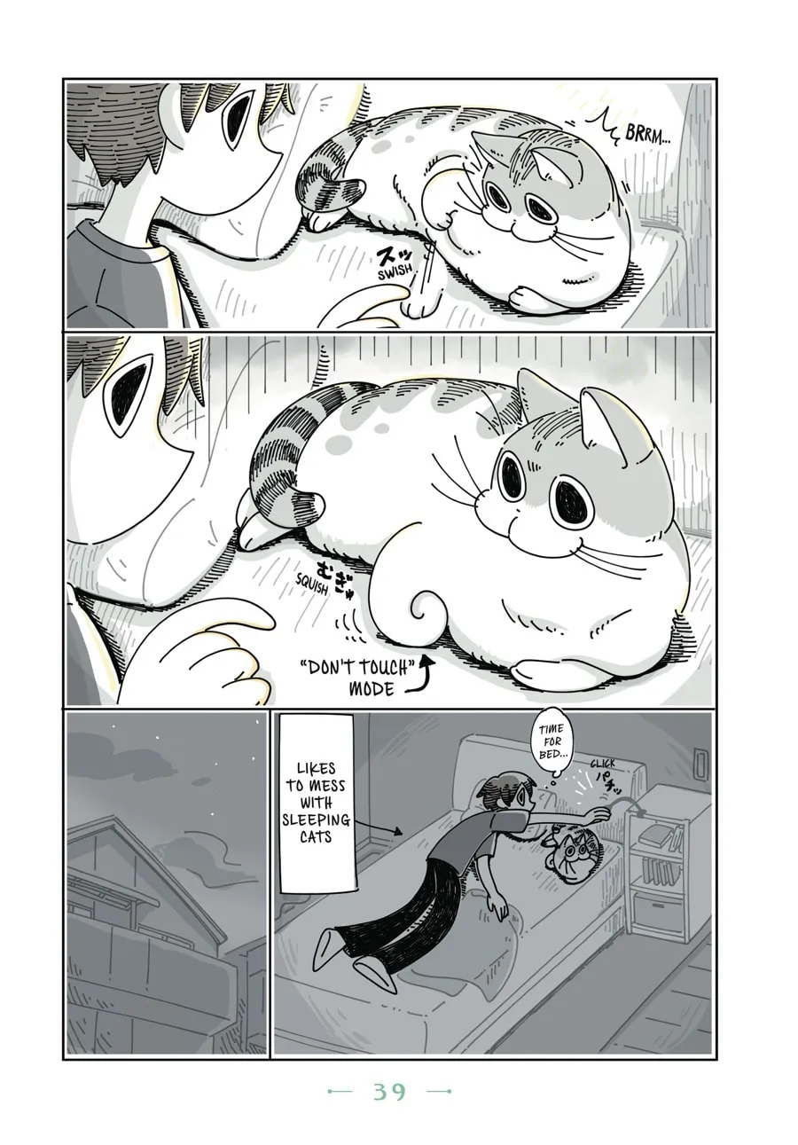 Nights With a Cat Chapter 8 page 17 - 