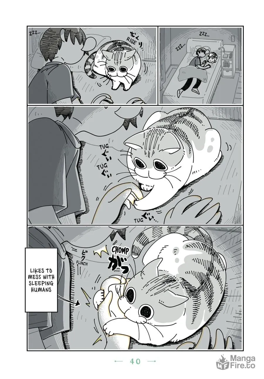 Nights With a Cat Chapter 8 page 18 - 