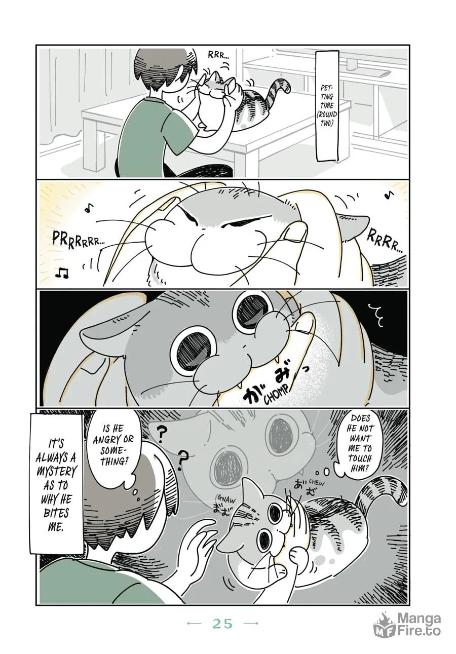 Nights With a Cat Chapter 8 page 3 - 