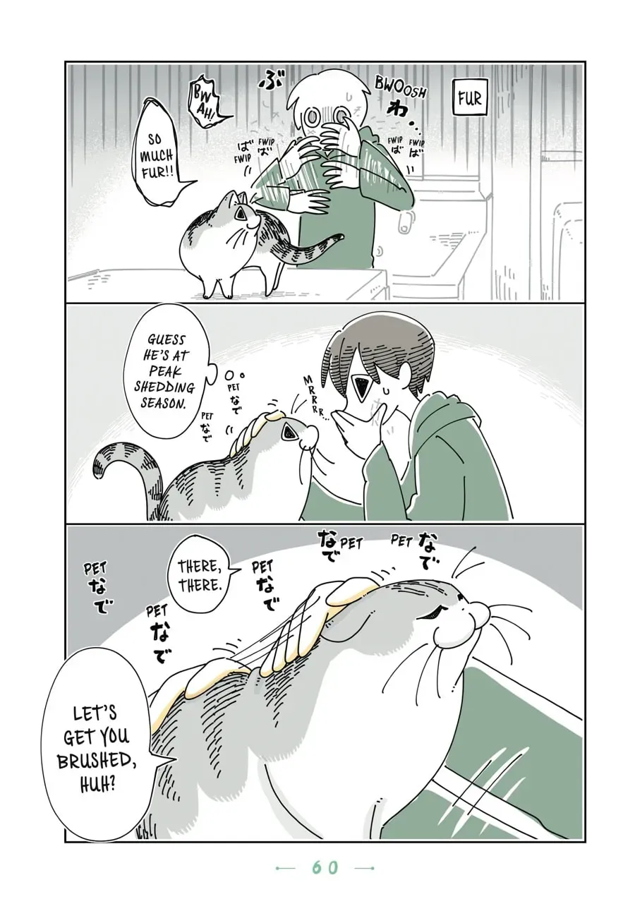 Nights With a Cat Chapter 81 page 2 - 