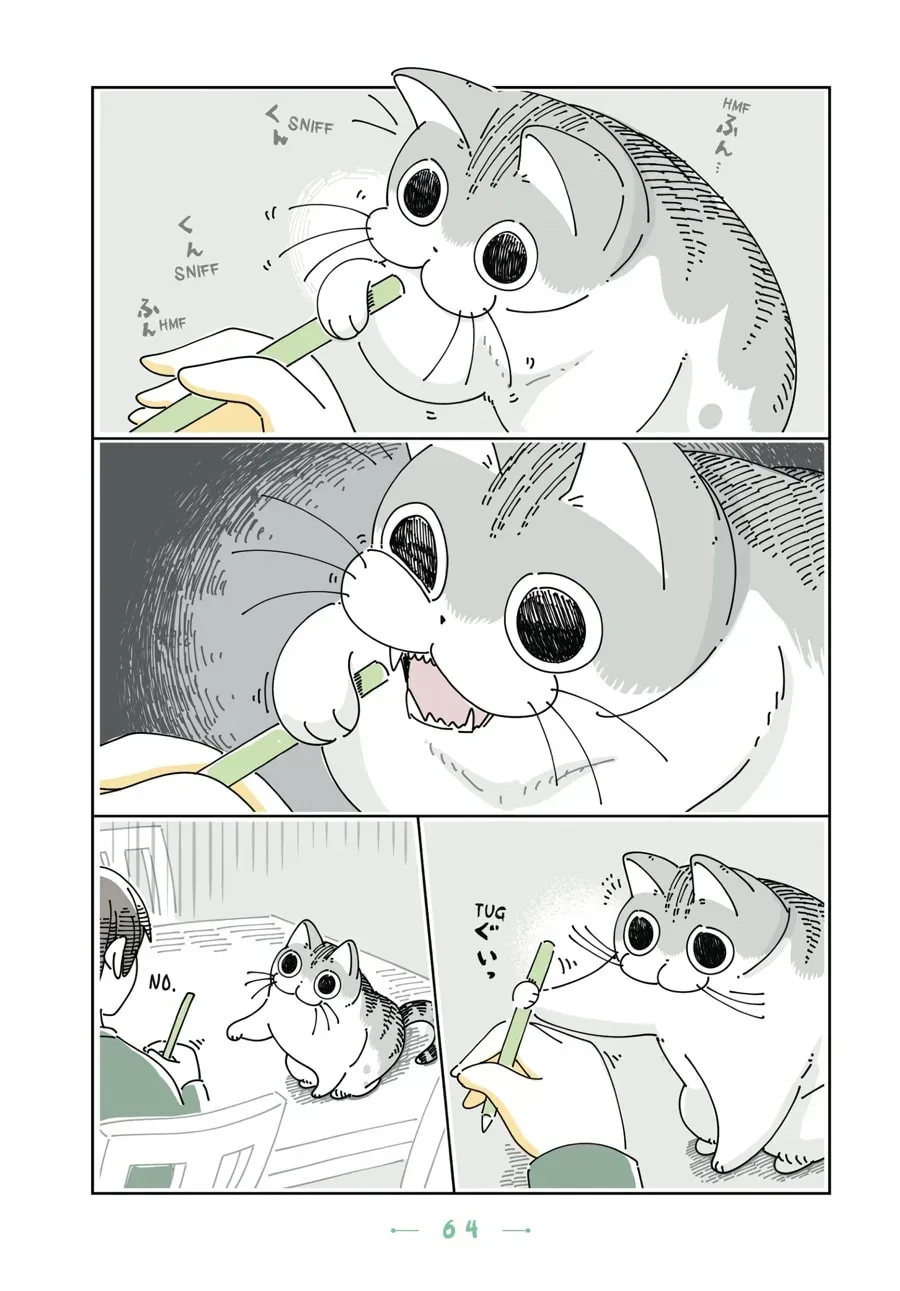 Nights With a Cat Chapter 82 page 2 - 