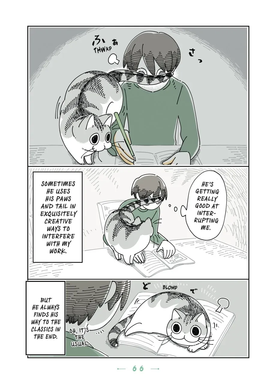 Nights With a Cat Chapter 82 page 4 - 