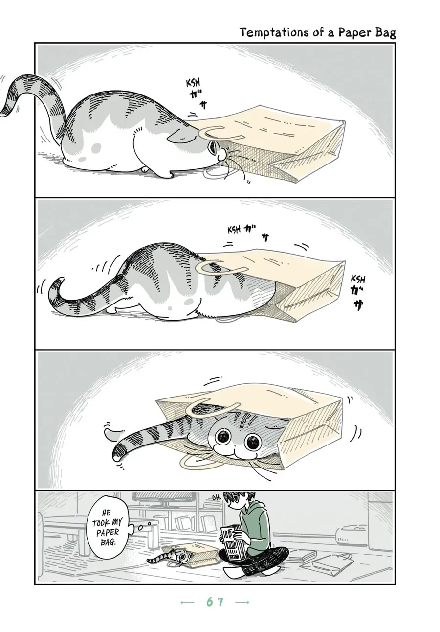 Nights With a Cat Chapter 83 page 1 - 