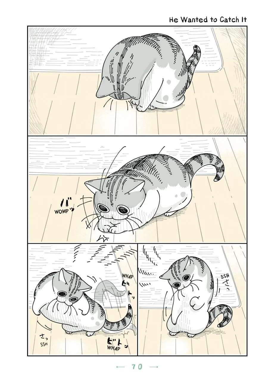 Nights With a Cat Chapter 84 page 1 - 