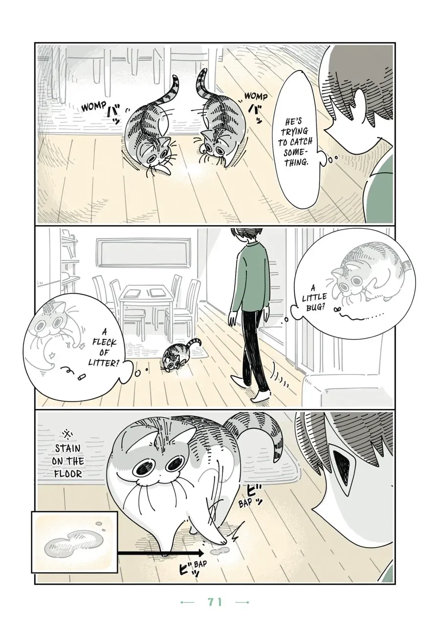 Nights With a Cat Chapter 84 page 2 - 